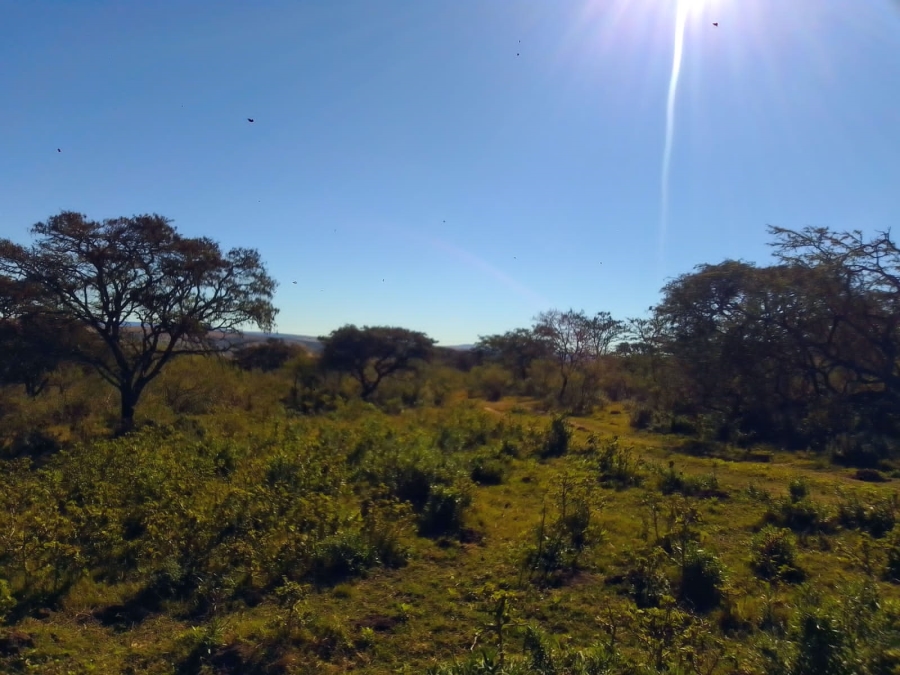 0 Bedroom Property for Sale in Stutterheim Rural Eastern Cape